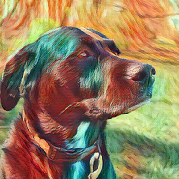 Meet your Posher, Nicholas - Picture 1 of 1